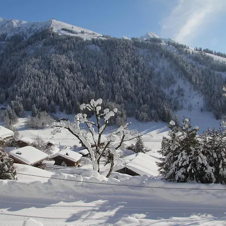 2 Pieces Sans Pretention Avec Balcon Et Parking - Fr-1-459-47 Apartment La Clusaz